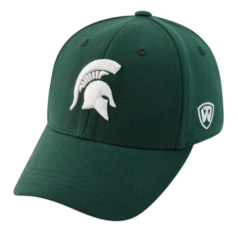 Mens NCAA Michigan State Spartans B.A.F. Green Memory Fit Hat