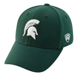 Mens NCAA Michigan State Spartans B.A.F. Green Memory Fit Hat - Pro Jersey Sports