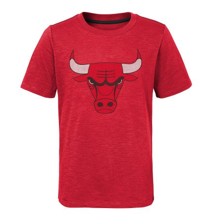 Child Chicago Bulls Legacy Collection Red Classic Short Sleeve Tee