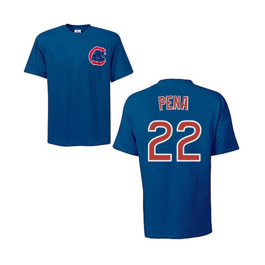 Chicago Cubs Carlos Pena Adult Player T-Shirt - Pro Jersey Sports