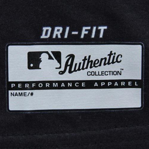 NIKE New York Yankees MLB Authentic Collection Graphic Performance T-Shirt