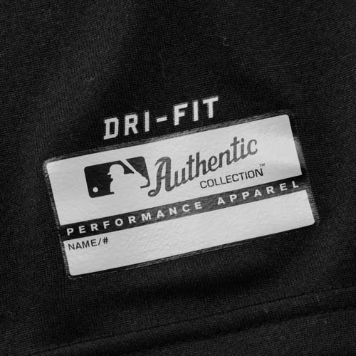 Men's Chicago White Sox Legend Logo Dri-Fit Tee By Nike