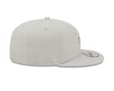 Men's Charlotte Hornets New Era Silver Color Pack 9FIFTY Snapback Hat - Pro Jersey Sports