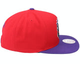 Men's Mitchell & Ness Toronto Raptors HWC Red/Purple Adjustable Snapback Hat - Pro Jersey Sports