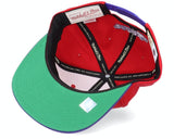 Men's Mitchell & Ness Toronto Raptors HWC Red/Purple Adjustable Snapback Hat - Pro Jersey Sports