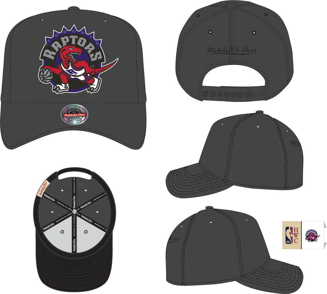 Toronto Raptors Pro Crown Fit Mitchell & Ness Gray Snapback Hat