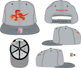 Men's Toronto Raptors NBA Cool Grey 3 HWC 2 Tone Mitchell & Ness Snapback Hat - Pro Jersey Sports