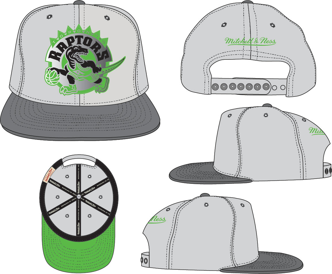 Men's Mitchell & Ness Toronto Raptors NBA Hardwood Classics Green Bean Adjustable Snapback Hat