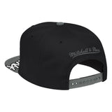 Men's Mitchell & Ness Black/Silver Brooklyn Nets Hardwood Classics Snapshot Adjustable Snapback Hat - Pro Jersey Sports