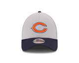 Chicago Bears NFL15 Training Camp Gray 39Thirty Flex Fit Hat - Pro Jersey Sports