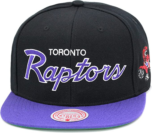 Toronto Raptors 2 Tone Black/Purple Hardwood Classics Team Script 2.0 Mitchell & Ness Snapback Hat