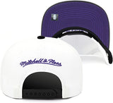Chicago Bulls Day One Black/ White/ Purple Mitchell & Ness Snapback Hat - Pro Jersey Sports
