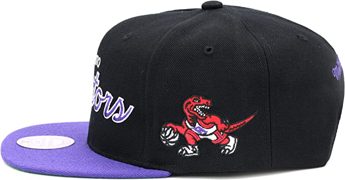Toronto Raptors 2 Tone Black/Purple Hardwood Classics Team Script 2.0 Mitchell & Ness Snapback Hat