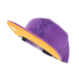 Phoenix Suns Mitchell & Ness Tonal Eclipse Snapback Hat- Purple - Pro Jersey Sports