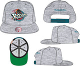 Detroit Pistons Hardwood Classics Heather Gray 2.0 Mitchell & Ness Snapback Hat - Pro Jersey Sports