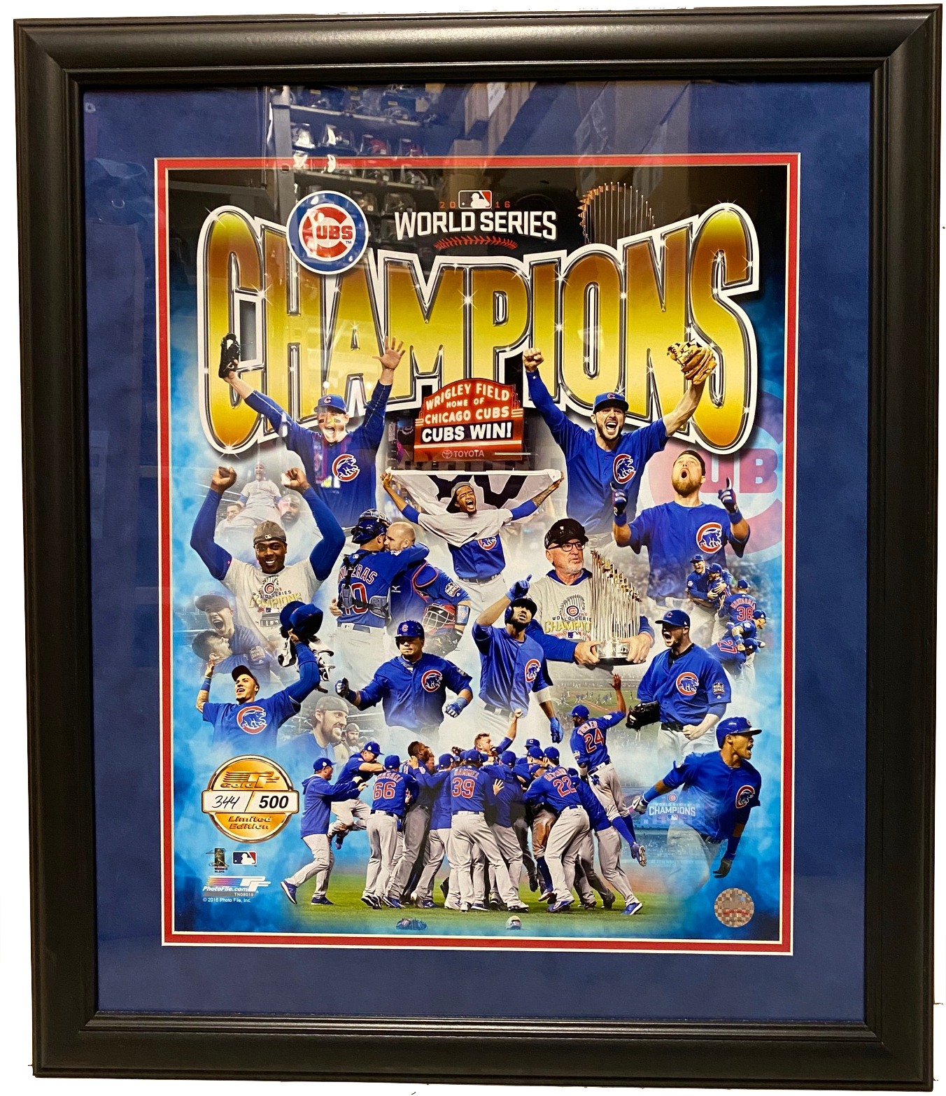 Chicago Cubs 2016 World Series Champs Limited Edition 23" x 27"  Overall Framed Photo