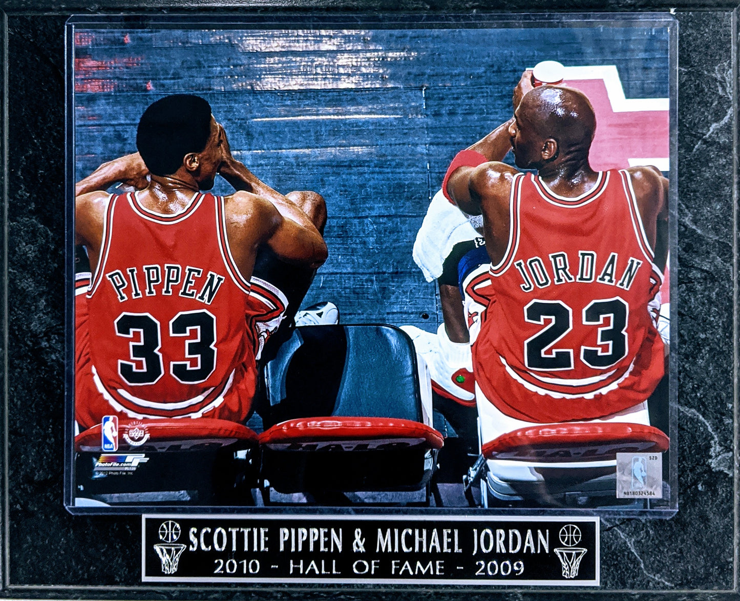 Michael Jordan & Scottie Pippen Chicago Bulls "2010-Hall of Fame-2009 Hall of Fame" Wall Plaque