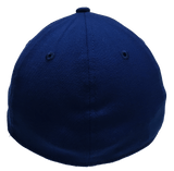 Men's Chicago Cubs 2016 NL Central Division Champions New Era Royal MLB Team 39THIRTY Flex Hat - Pro Jersey Sports - 4