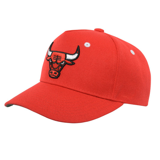 Youth Chicago Bulls NBA Red Retro TMC Adjustable Hat