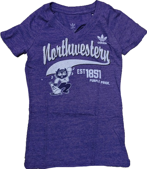 Women's adidas Purple Northwestern Wildcats Fearless Tri-Blend V-Neck T-Shirt