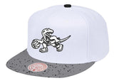 Men's Toronto Raptors NBA Cement Top HWC Mitchell & Ness Snapback Hat - Pro Jersey Sports