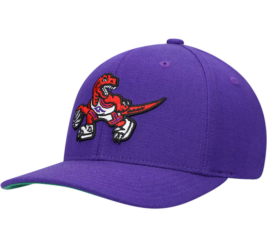 Mens NBA Toronto Raptors Purple Team Ground Snapback Hat By Mitchell And Ness