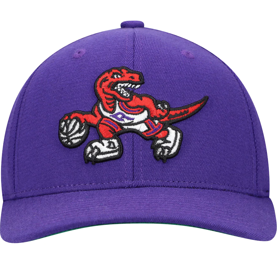 Mens NBA Toronto Raptors Purple Team Ground Snapback Hat By Mitchell And Ness