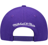 Mens NBA Toronto Raptors Purple Team Ground Snapback Hat By Mitchell And Ness - Pro Jersey Sports