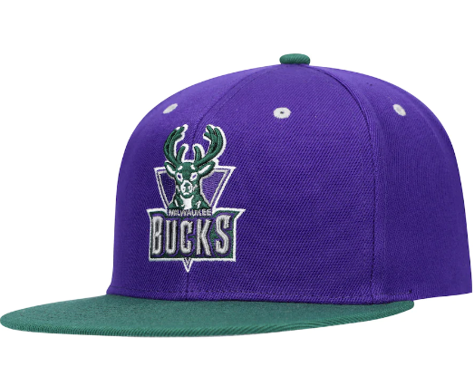 Men's Milwaukee Bucks Mitchell & Ness Hardwood Classics Reload 2.0 Snapback Hat - Green/Purple