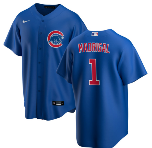 NIKE Men's Nick Madrigal Chicago Cubs Blue Alternate Premium Stitch Replica Jersey