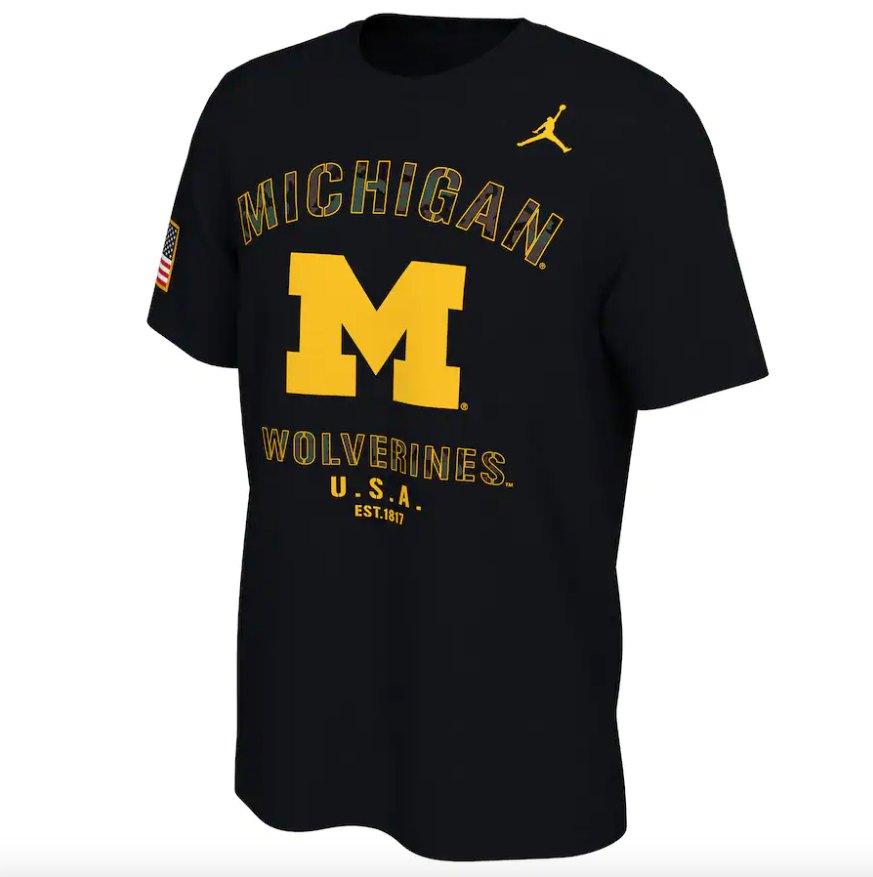Michigan Wolverines 2021 Veterans Day Nike Sideline Black T-Shirt