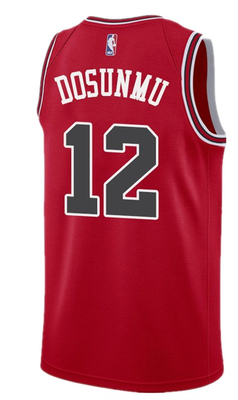 Youth Chicago Bulls Ayo Dosunmu Red Nike Swingman Icon Jersey