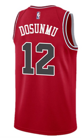 Youth Chicago Bulls Ayo Dosunmu Red Nike Swingman Icon Jersey - Pro Jersey Sports