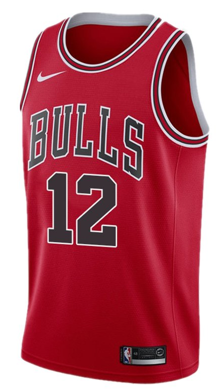 Youth Chicago Bulls Ayo Dosunmu Red Nike Swingman Icon Jersey