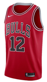 Youth Chicago Bulls Ayo Dosunmu Red Nike Swingman Icon Jersey - Pro Jersey Sports