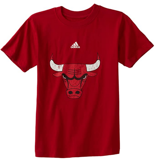 Youth Chicago Bulls Faded Team Logo Tee