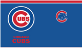 Chicago Cubs™ Home Run 20 oz. Stainless Steel Tumbler - Pro Jersey Sports