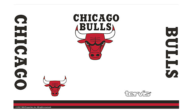 Chicago Bulls™ Arctic 20 oz. Stainless Steel Tumbler By Tervis