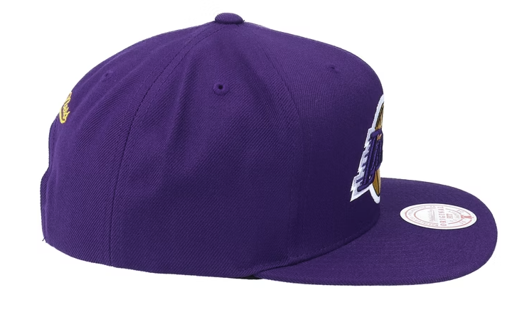Mens NBA Los Angeles Lakers Purple Team Ground Snapback Hat By Mitchell And Ness