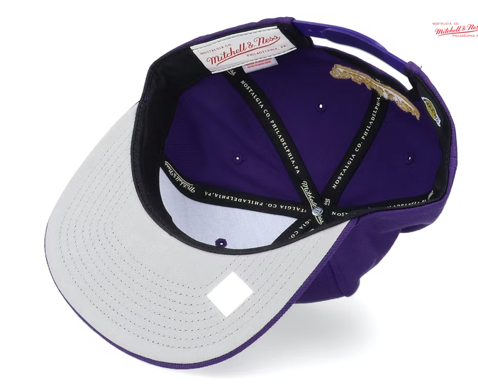 Mens NBA Los Angeles Lakers Purple Team Ground Snapback Hat By Mitchell And Ness