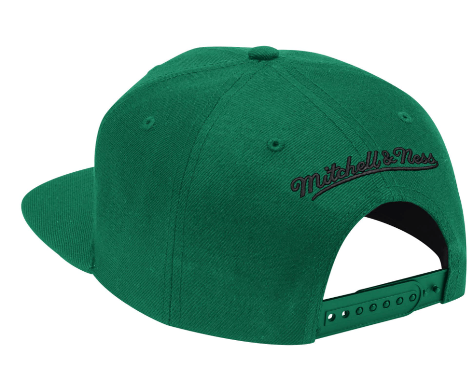 Mens Boston Celtics 2-Tone 2.0 Kelly Green Mitchell & Ness Snapback Hat - Pro Jersey Sports