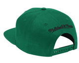 Mens Boston Celtics 2-Tone 2.0 Kelly Green Mitchell & Ness Snapback Hat - Pro Jersey Sports