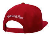 Men's Atlanta Hawks Mitchell & Ness Ground 2.0 Snapback Hat - Pro Jersey Sports