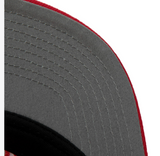 Men's Atlanta Hawks Mitchell & Ness Ground 2.0 Snapback Hat - Pro Jersey Sports