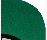 Men's Detroit Pistons Mitchell & Ness HWC Ground 2.0Teal Snapback Hat - Pro Jersey Sports