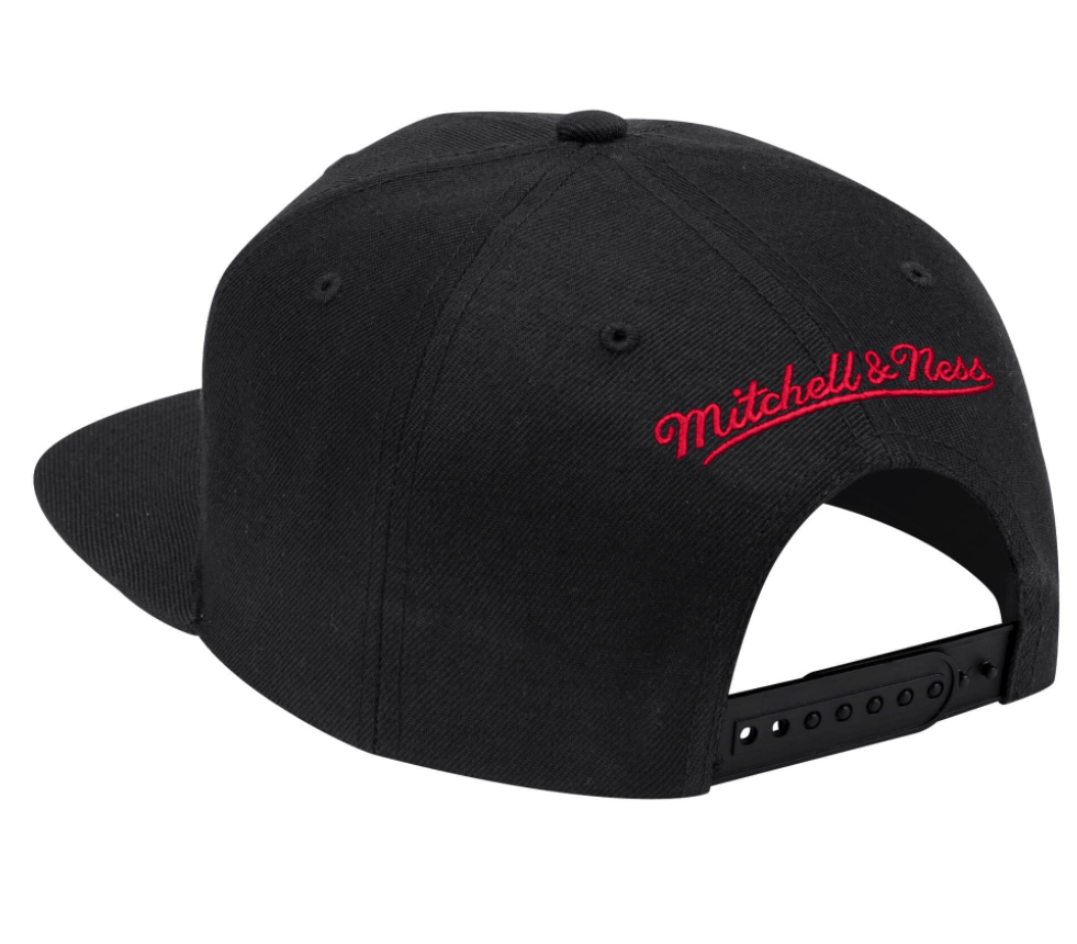 Men's Toronto Raptors 2-Tone 2.0 Snapback Hat By Mitchell & Ness