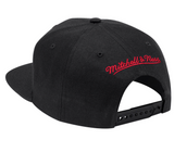 Men's Toronto Raptors 2-Tone 2.0 Snapback Hat By Mitchell & Ness - Pro Jersey Sports