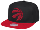 Men's Toronto Raptors 2-Tone 2.0 Snapback Hat By Mitchell & Ness - Pro Jersey Sports