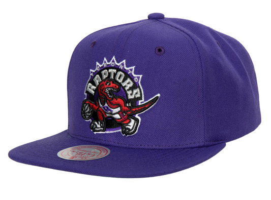 Men's Toronto Raptors Ground 2.0 Purple Snapback Hat By Mitchell & Ness