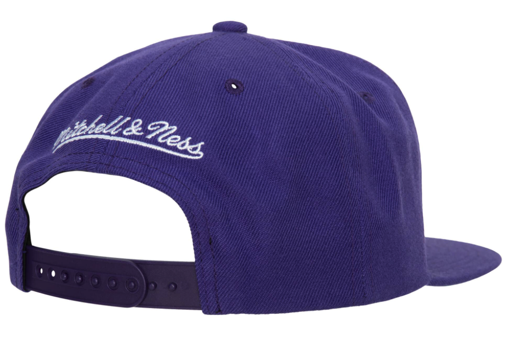 Men's Toronto Raptors Ground 2.0 Purple Snapback Hat By Mitchell & Ness